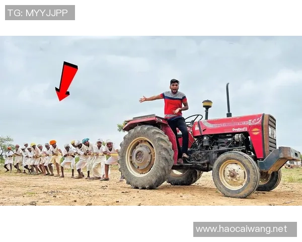 拖拉机与加拉法的较量：谁能在现代农业中胜出